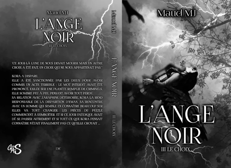 Couverture papier de l'Ange Noir tome 3