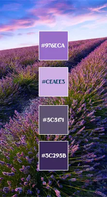 Palette de violet