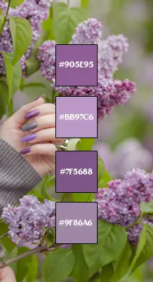 Palette de violet