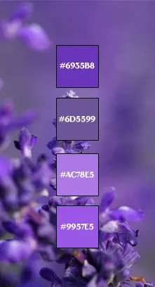 Palette de violet
